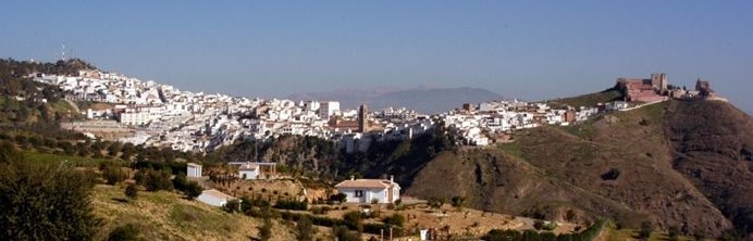 Sin olvidar los productos del cerdo, y las aceitunas aloreñas
