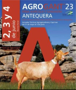 Ilustración de Antequera 1 · Historia y el Torcal