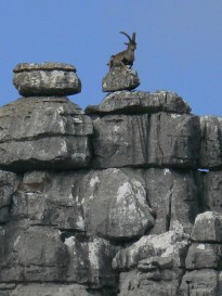 Ilustración de Antequera 1 · Historia y el Torcal