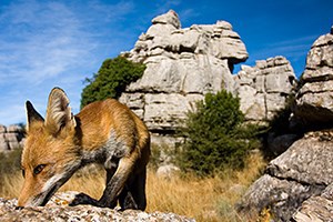 Ilustración de Antequera 1 · Historia y el Torcal
