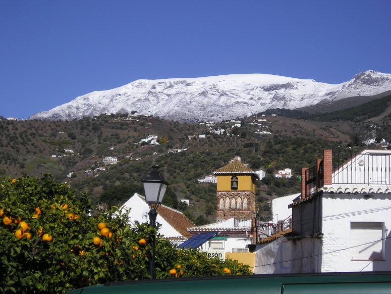 Árchez