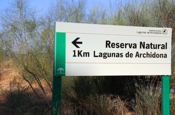 Ilustración de Archidona