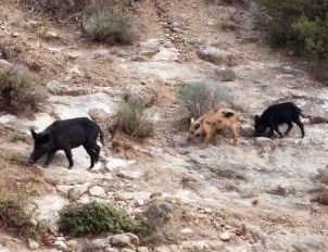 Ilustración de Ardales y el Caminito del Rey