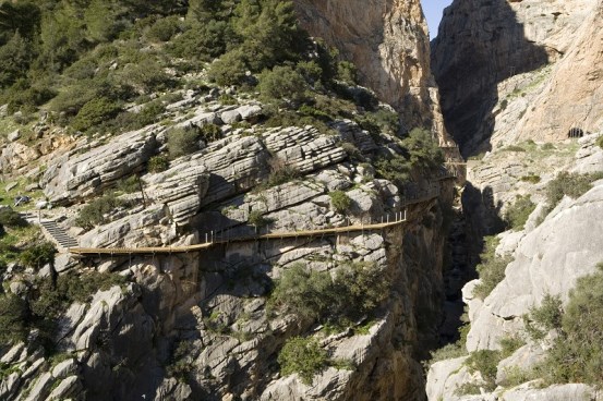 Refugio de murcielagos