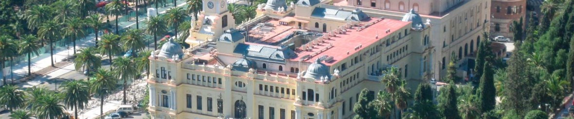Ilustración de El Ayuntamiento de Málaga