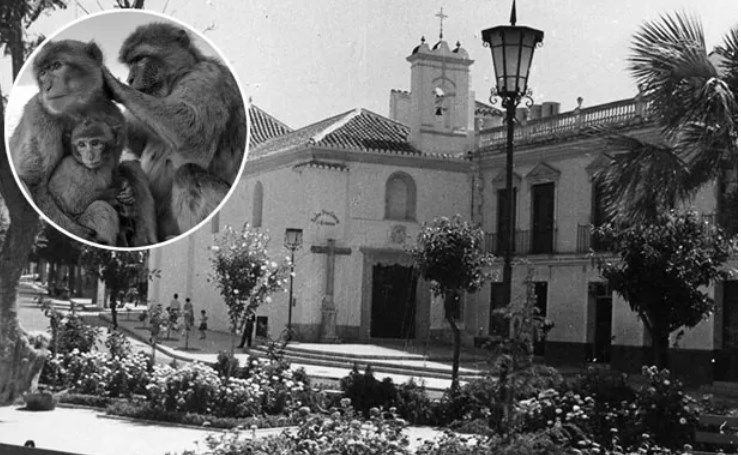 Ilustración de El Barrio de la Victoria
