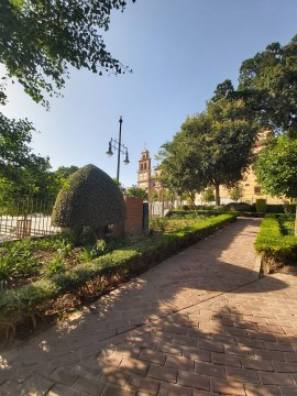 Ilustración de El Barrio de la Victoria