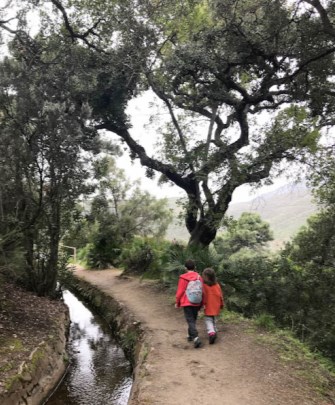 Y juntos admirar “la acequia milinaria