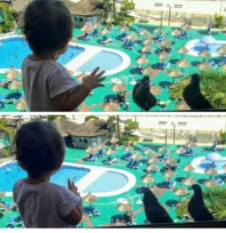 Otros hoteles