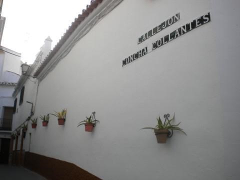 Ilustración de Benamocarra