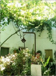 El patio de Amalia