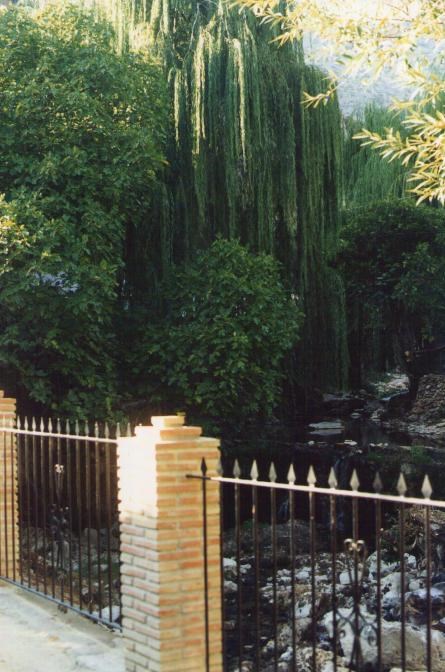 Benaoján desde el cortijo Coronas