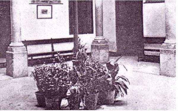 Ilustración de Casares