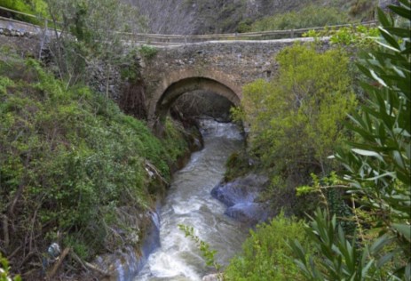 Ilustración de Canillas de Albaida