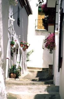 Ilustración de Canillas de Albaida