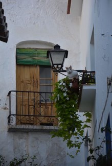 Ilustración de Canillas de Albaida