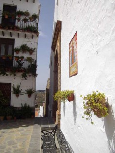 Ilustración de Canillas de Albaida