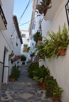 Ilustración de Canillas de Albaida