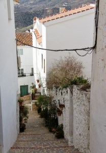 Ilustración de Canillas de Albaida
