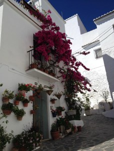 Ilustración de Canillas de Albaida