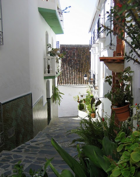 Ilustración de Canillas de Albaida