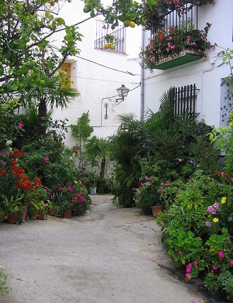 Ilustración de Canillas de Albaida