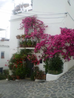 Ilustración de Canillas de Albaida