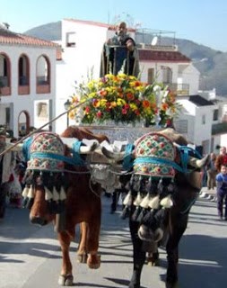 Ilustración de Canillas de Albaida