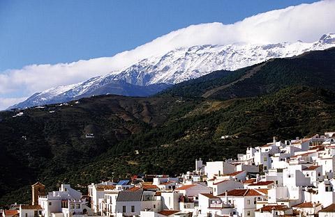 Ilustración de Canillas de Albaida