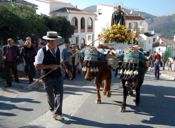 Ilustración de Canillas de Albaida