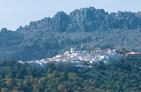 Ilustración de Cartajima