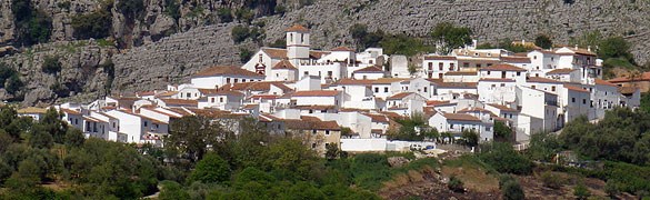 Ilustración de Cartajima