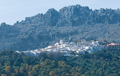 Ilustración de Cartajima