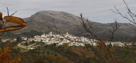 Ilustración de Cartajima