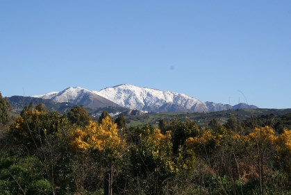 Ilustración de Casares