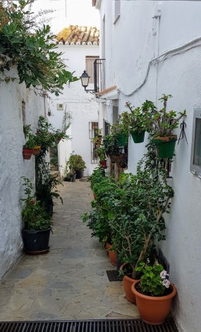Ilustración de Casares