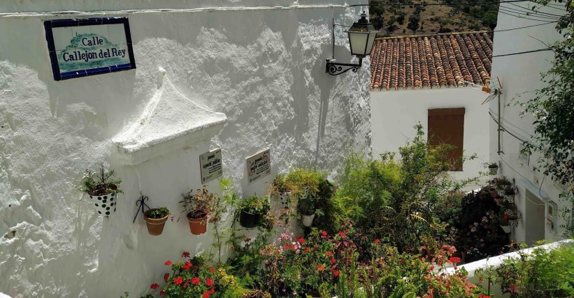 Ilustración de Casares