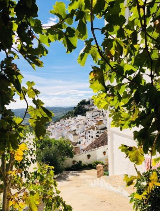 Ilustración de Casares