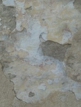 Ilustración de Catedral de Málaga