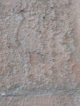 Ilustración de Catedral de Málaga