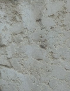 Ilustración de Catedral de Málaga
