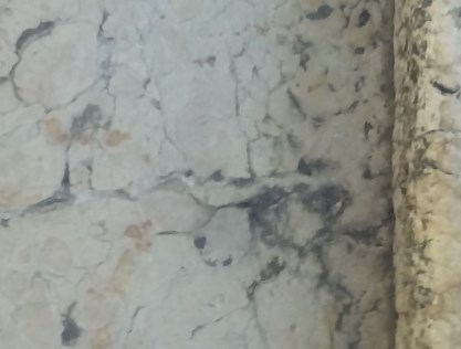Ilustración de Catedral de Málaga