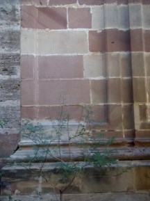 Ilustración de Catedral de Málaga