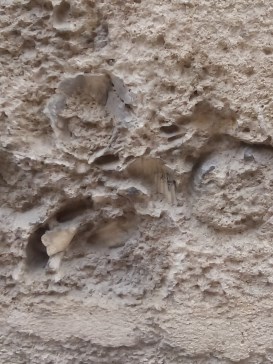 Ilustración de Catedral de Málaga