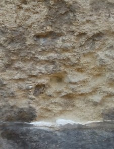 Ilustración de Catedral de Málaga