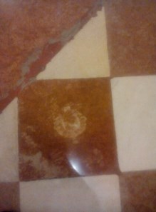 Ilustración de Catedral de Málaga