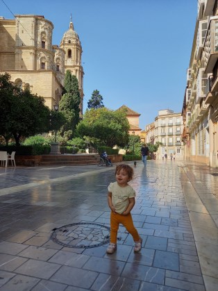 Ilustración de Catedral de Málaga