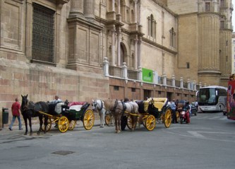 Ilustración de Catedral de Málaga
