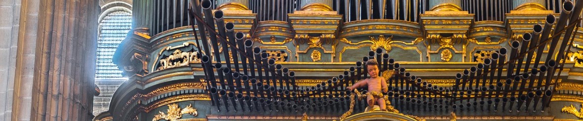 Ilustración de Catedral de Málaga