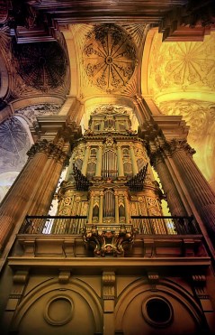 Ilustración de Catedral de Málaga